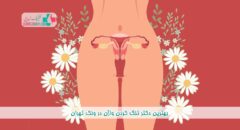 بهترین دکتر تنگ کردن واژن در ونک تهران