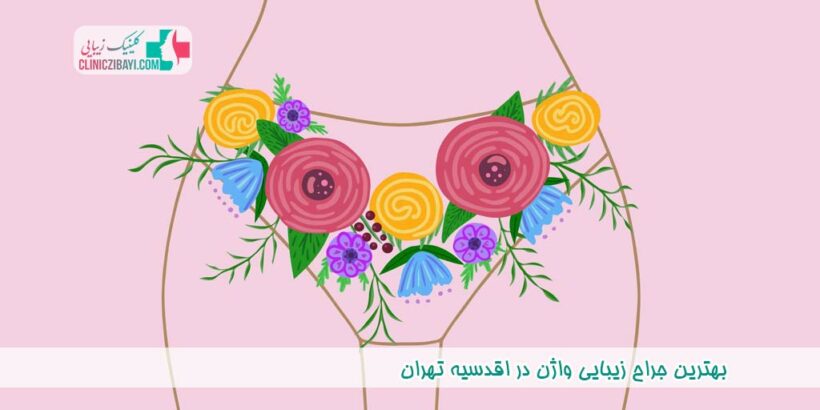 بهترین جراح زیبایی واژن در اقدسیه تهران