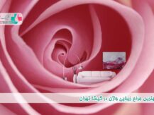 بهترین جراح زیبایی واژن در گیشا تهران