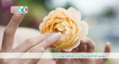 بهترین جراح زیبایی واژن در صادقیه تهران