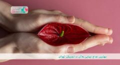 بهترین جراح زیبایی واژن در تجریش تهران