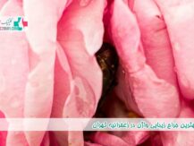 بهترین جراح زیبایی واژن در زعفرانیه تهران