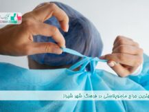 جراح ماموپلاستی در فرهنگ شهر شیراز